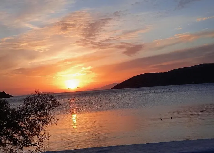 Daire Barbara Katápola